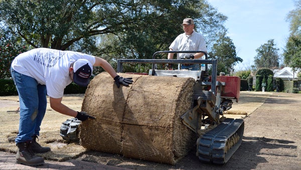 Michael Brackin and Robert Bond of Carriage Hill Landscaping install new sod at Sturdivant Hall Museum on Wednesday. — Emily Enfinger