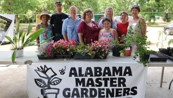 The Master Gardeners of Dallas County held a plant sale in addition to their annual Butterfly Awareness Day event at the Bloch Park farmers market on Saturday. From left to right are group members Evelyn Cox, Mitch McKinney, Peggie Verhoff, Michele McNeill, Tina Lancaster, Adrienne Patterson, Carla Schuerman and Jan Justice.