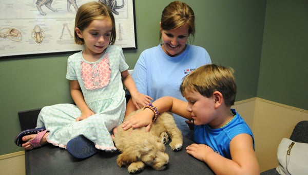 Bug, 6, sits on her owner Christina Bedwell’s lap at the Valley Creek Veterinary Hospital.
